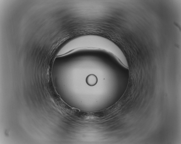 X0000102810360200809021204