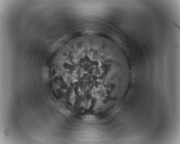 X0000102810361200809021204