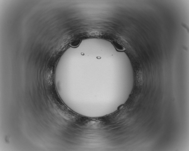 X0000102810364200809021204