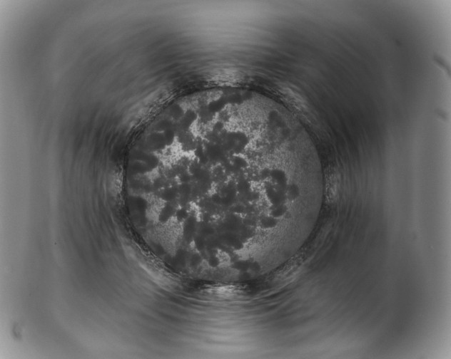 X0000102810365200809021204