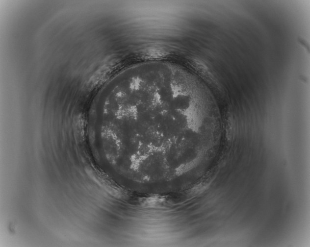 X0000102810366200809021204