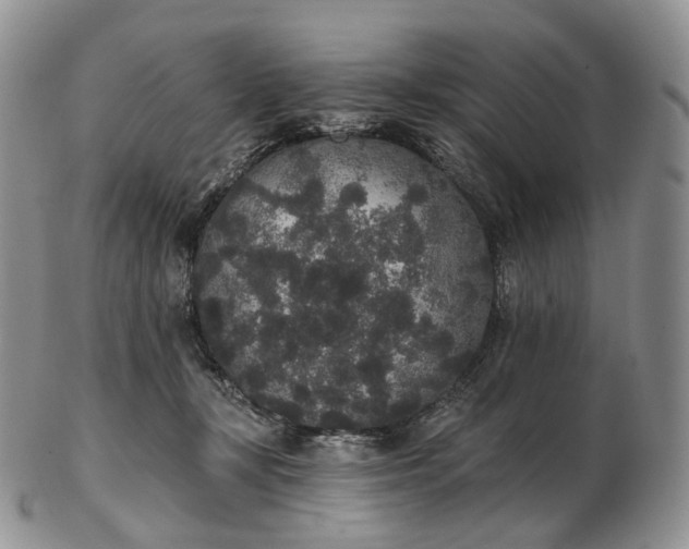 X0000102810367200809021204