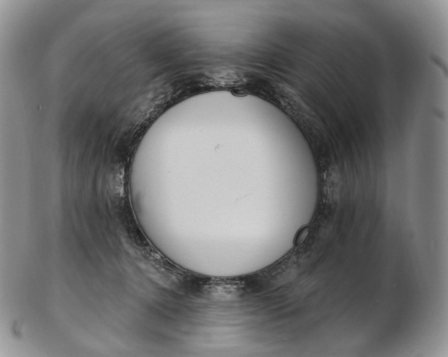 X0000102810368200809021204