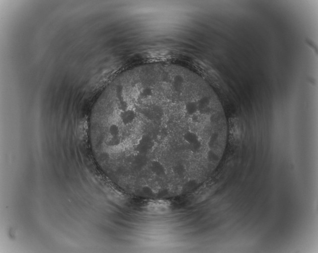 X0000102810369200809021204