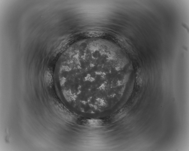 X0000102810371200809021204