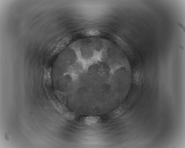 X0000102810373200809021204