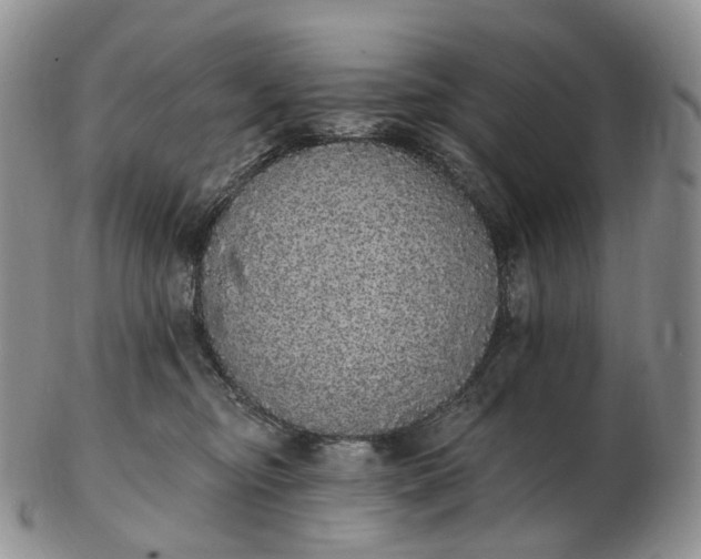 X0000102810374200809021204