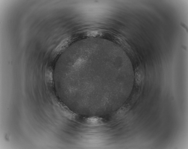 X0000102810375200809021204