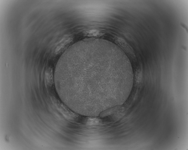 X0000102810376200809021204