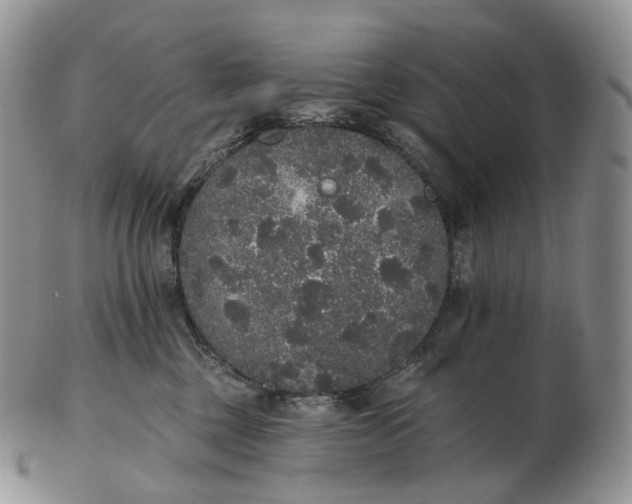 X0000102810377200809021204