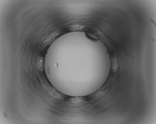 X0000102810378200809021204