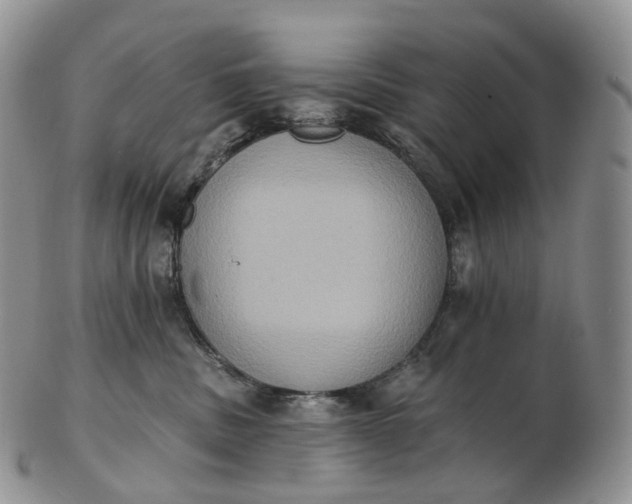 X0000102810379200809021204