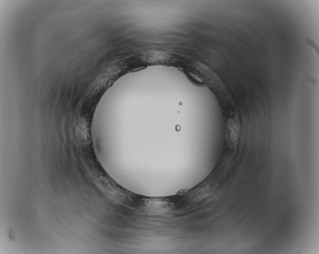 X0000102810380200809021204