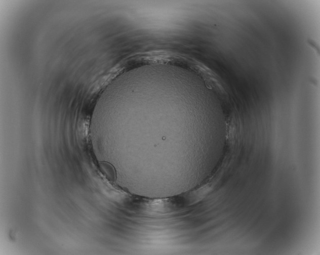 X0000102810382200809021204