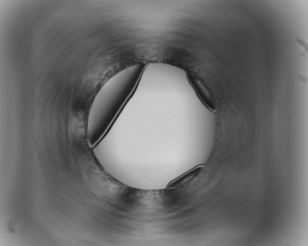 X0000102810384200809021204