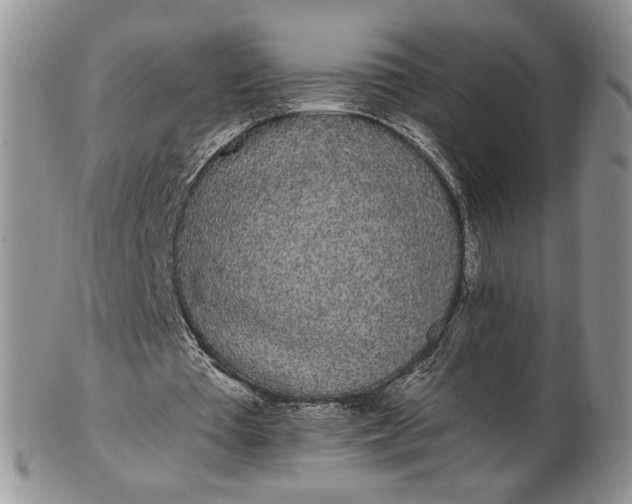 X0000102810385200809021203