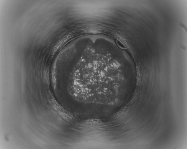 X0000102810386200809021203