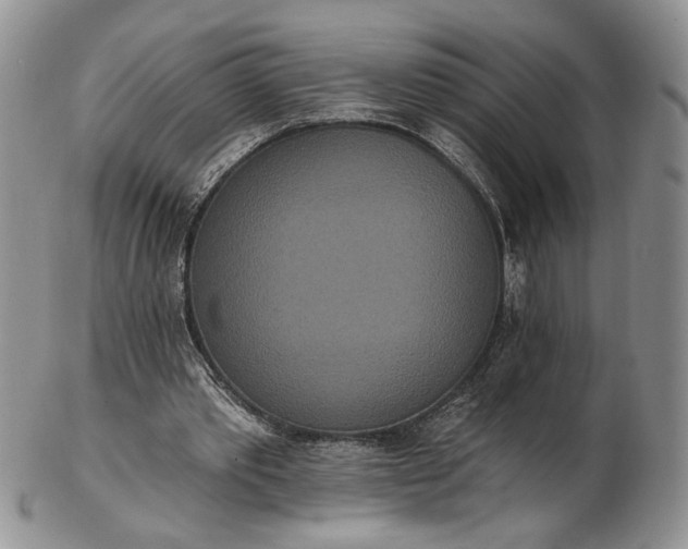 X0000102810389200809021203