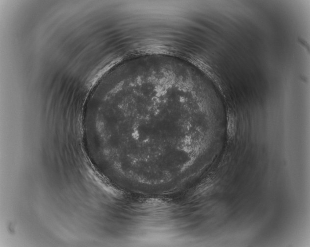 X0000102810390200809021203