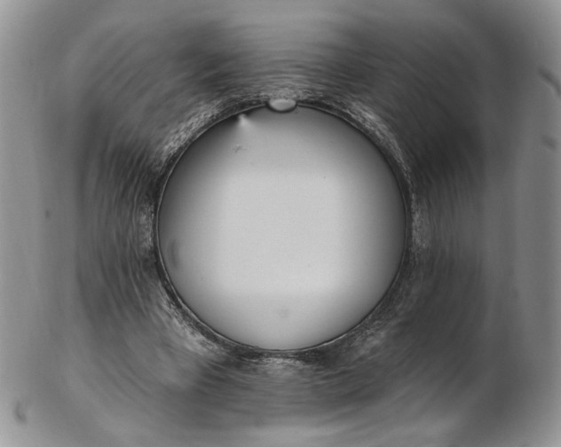 X0000102810393200809021203