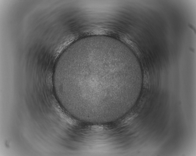 X0000102810394200809021203