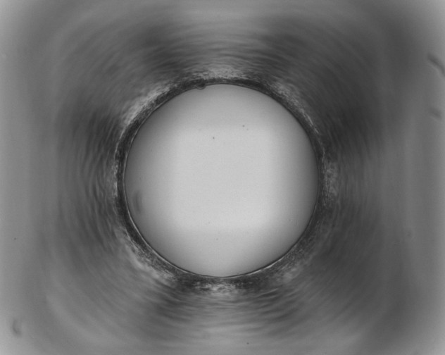 X0000102810395200809021203