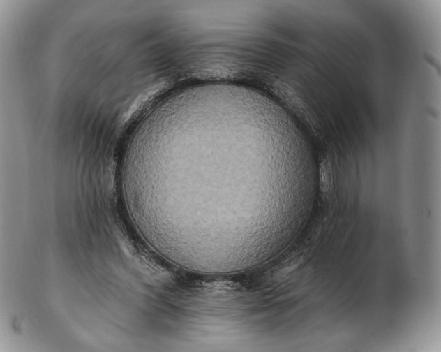 X0000102810396200809021203