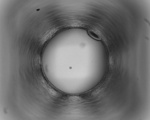 X0000102810397200809021203