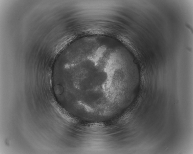 X0000102810398200809021203