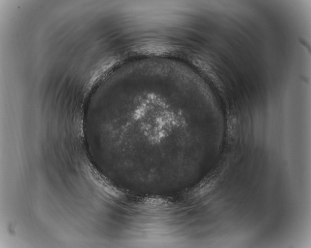 X0000102810399200809021203