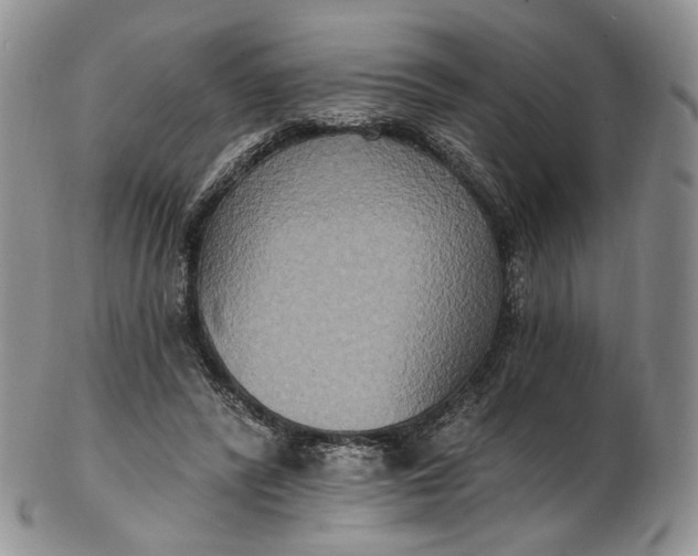 X0000102810400200809021203