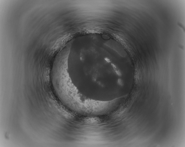 X0000102810402200809021203