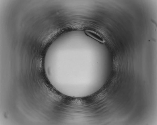 X0000102810404200809021203