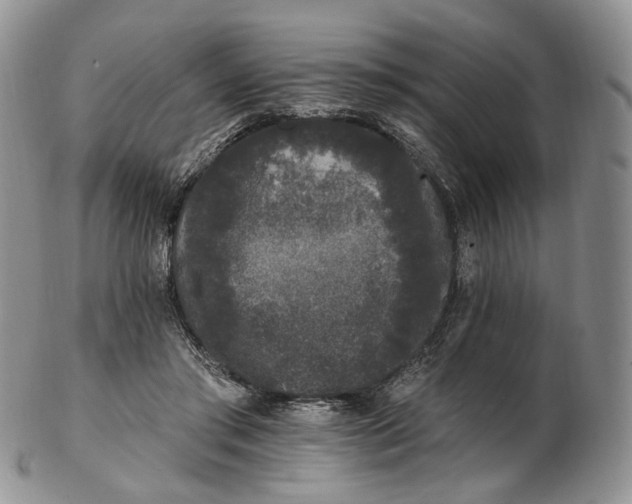 X0000102810405200809021203