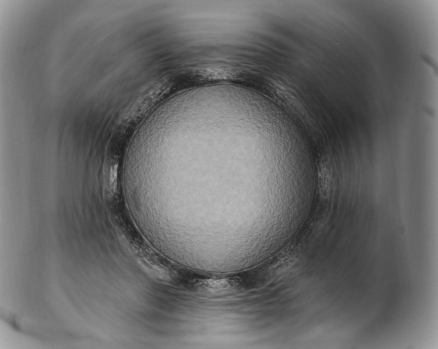 X0000102810406200809021203