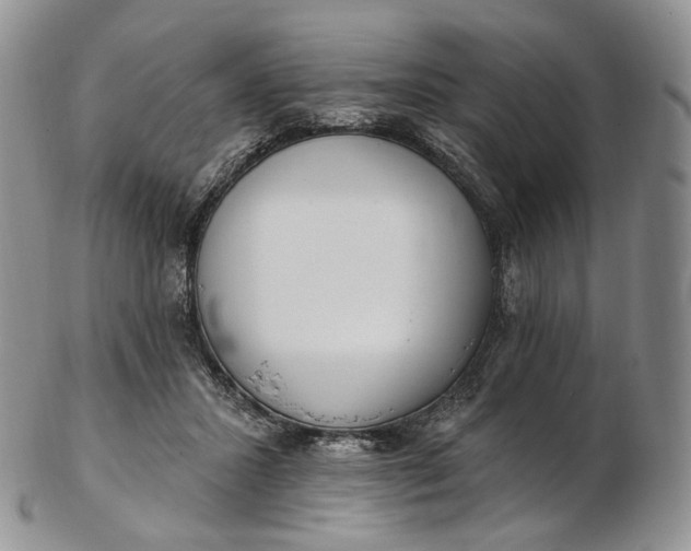 X0000102810407200809021203