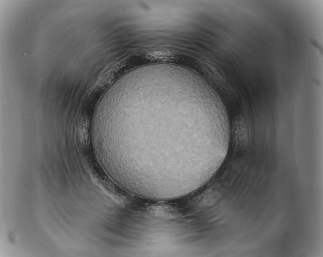 X0000102810408200809021203