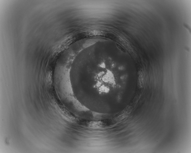 X0000102810410200809021203