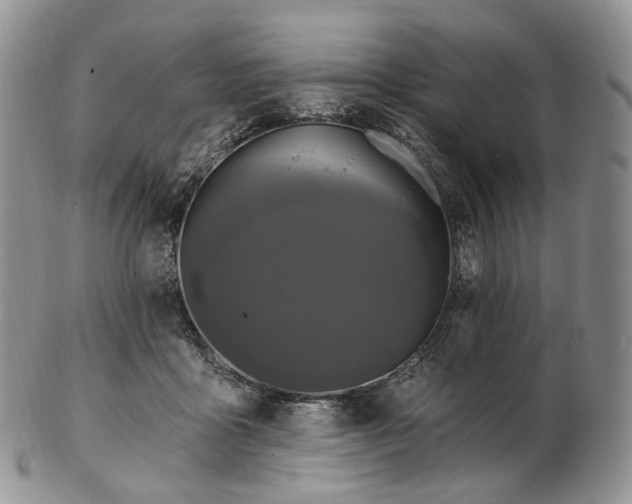 X0000102810411200809021203