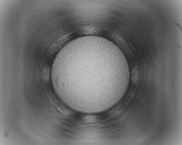 X0000102810413200809021203