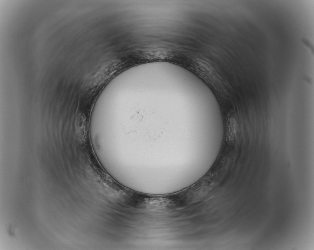 X0000102810414200809021203