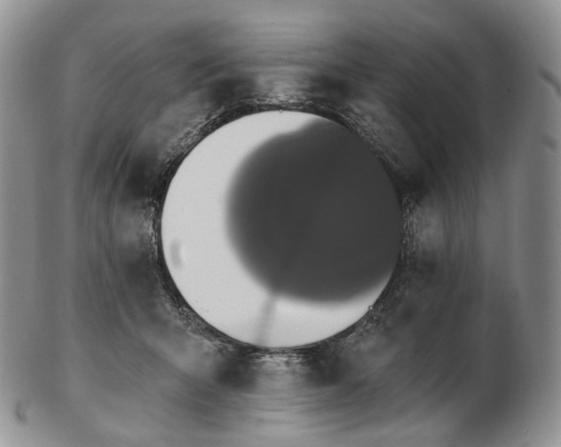 X0000102810415200809021203