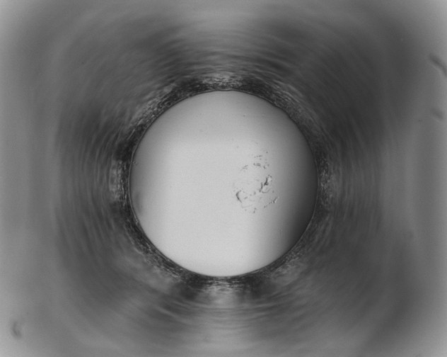 X0000102810416200809021203