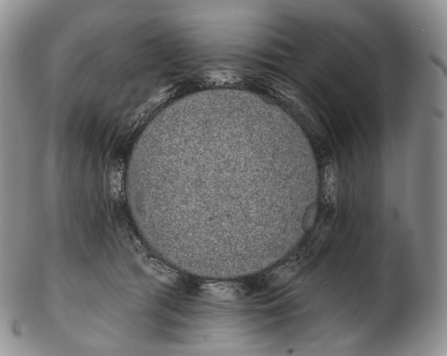 X0000102810417200809021203