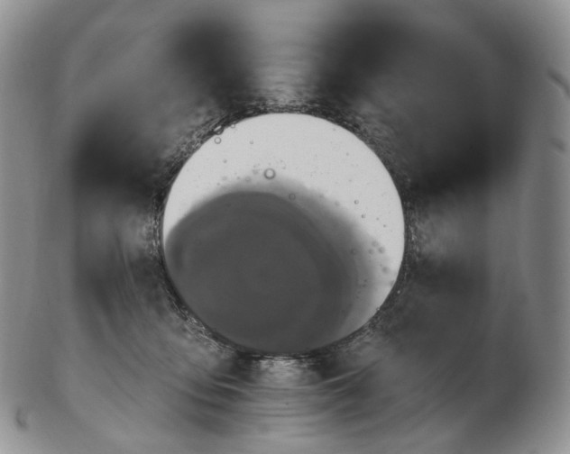 X0000102810419200809021203