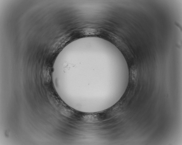 X0000102810422200809021203