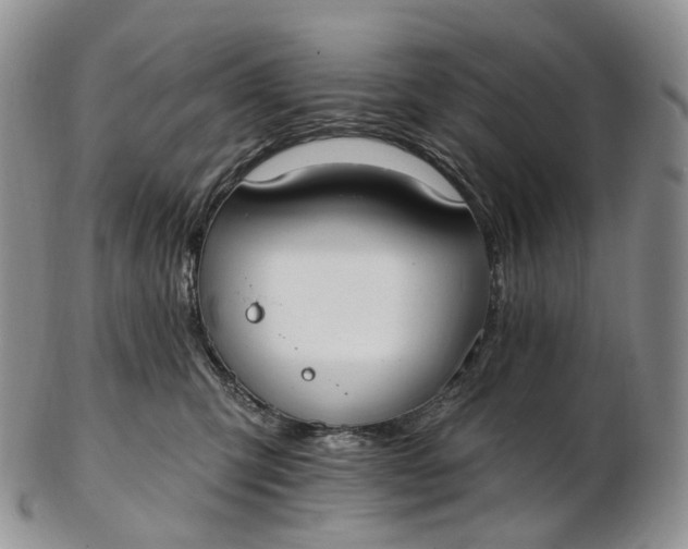 X0000102810423200809021203