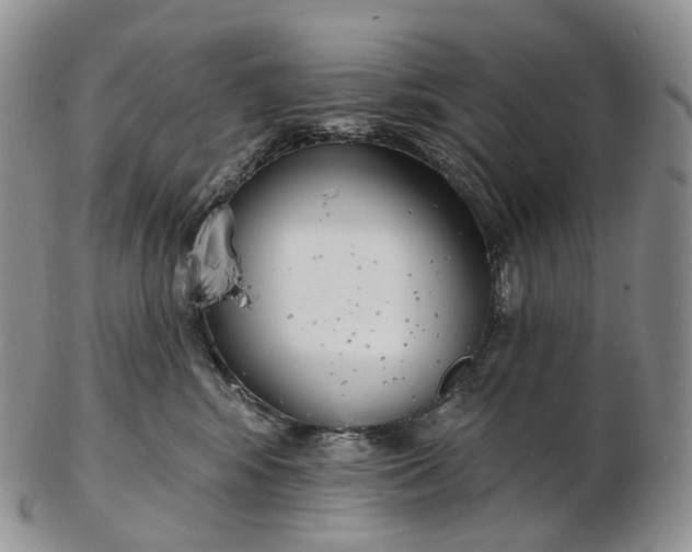 X0000102810424200809021203