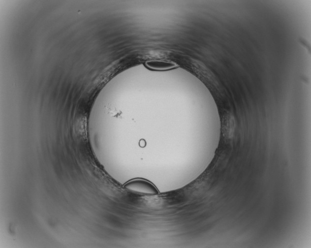 X0000102810425200809021203