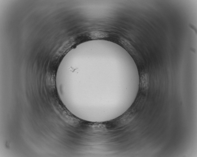 X0000102810426200809021203